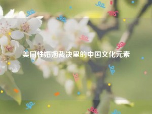 美同性婚姻裁决里的中国文化元素