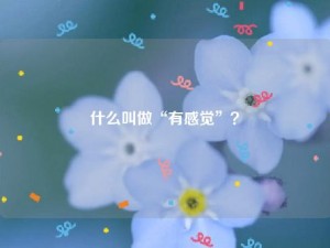 什么叫做“有感觉”？