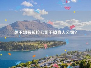 想不想看拉拉公司干掉直人公司？