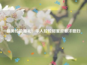 最美拉拉婚礼：华人拉拉甜蜜迎娶洋媳妇