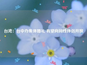 台湾：台中办集体婚礼 有望向同性伴侣开放