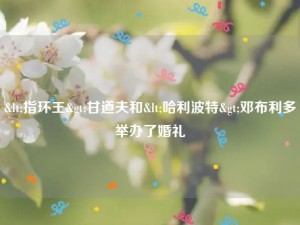 <指环王>甘道夫和<哈利波特>邓布利多举办了婚礼