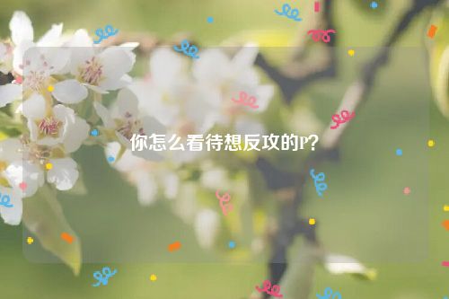 你怎么看待想反攻的P？