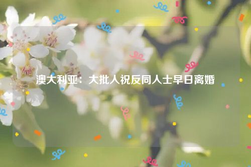 澳大利亚：大批人祝反同人士早日离婚