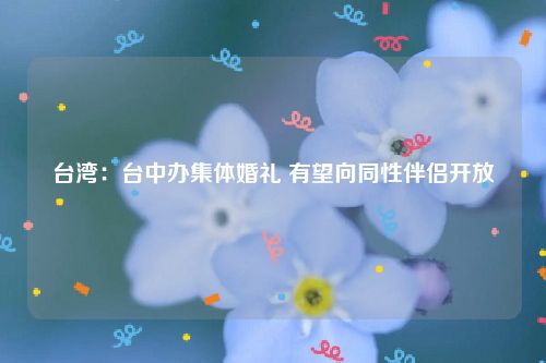 台湾：台中办集体婚礼 有望向同性伴侣开放