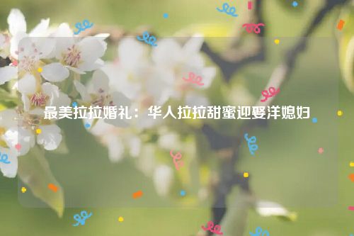 最美拉拉婚礼：华人拉拉甜蜜迎娶洋媳妇